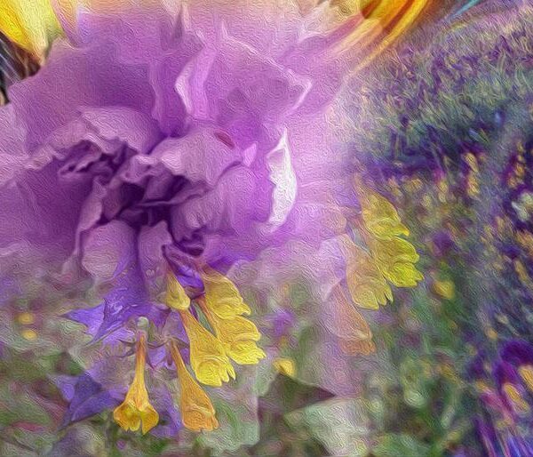 Meadow in a Memory