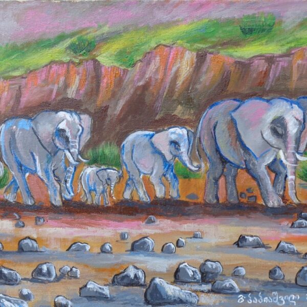Elephants