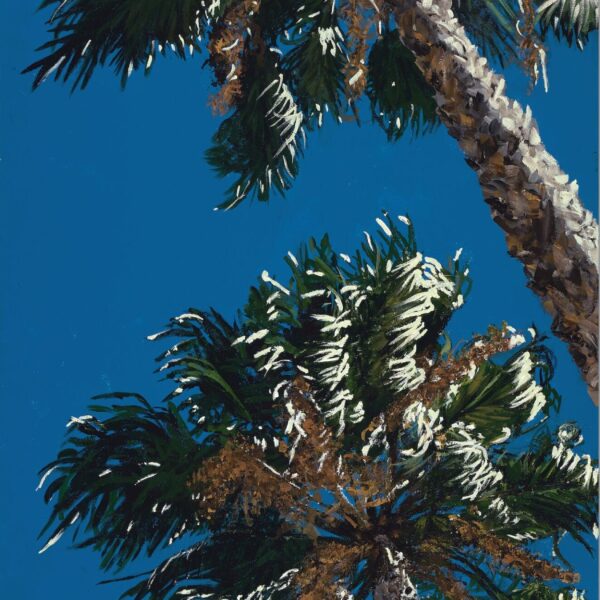 Palm Trees In The Wind